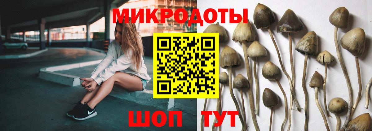 Псилоцибиновые грибы Magic Shrooms Алушта