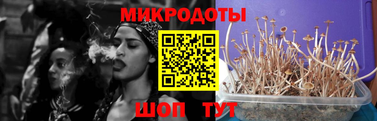 Алушта  Псилоцибиновые грибы мицелий  закладка  Вход с VPN 